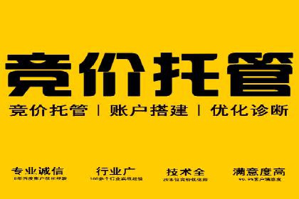 实战解析：SEM代运营成功案例分享